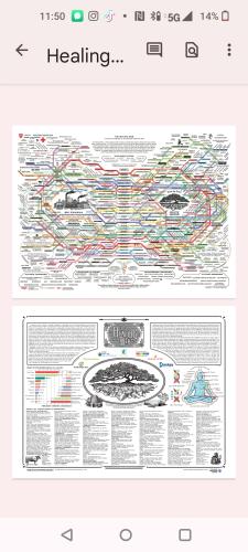 Screenshot_2022-11-13-11-50-08-11_e2d5b3f32b79de1d45acd1fad96fbb0f