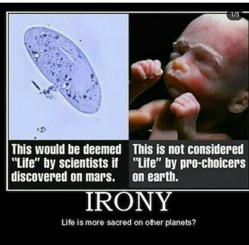 Screenshot_2022-11-26-08-23-59-24_1c337646f29875672b5a61192b9010f9