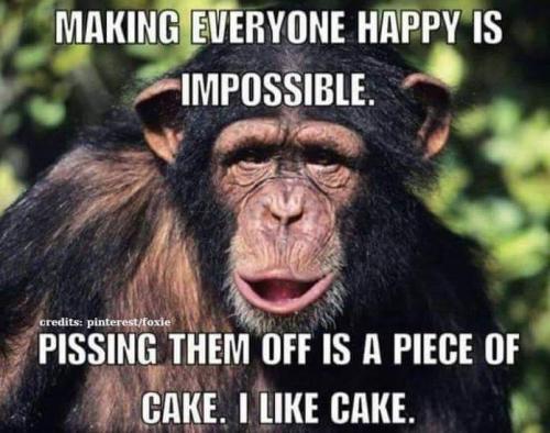 FB_IMG_1668021823470