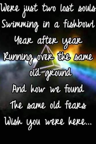 FB_IMG_1667784406327