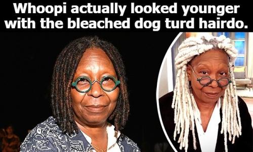 Whoopi actually looked younger with the bleached dog turd hairdo