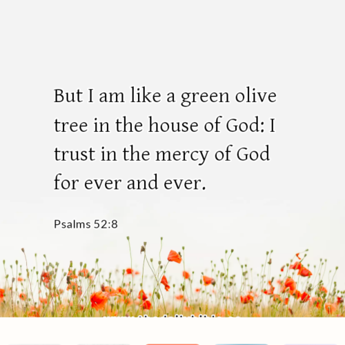 dailybible_20221108-001923_Psalms_52-8