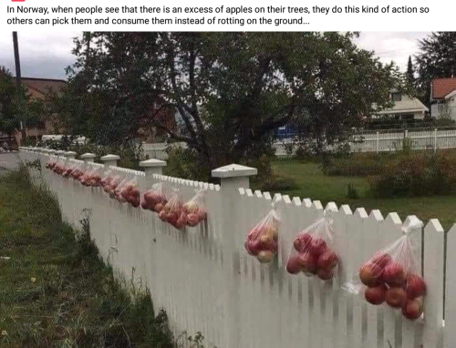 Screenshot_2022-11-24-16-23-58_kindlephoto-38319755