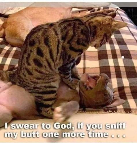 a684af20-e9e4-45fe-a76f-29bf556245cb