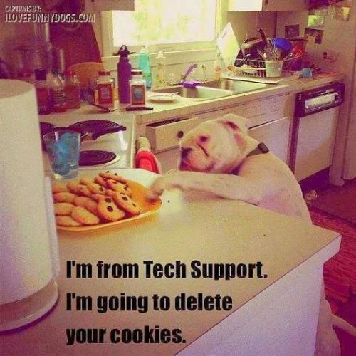 1794763_10152187993269116_751877271_n