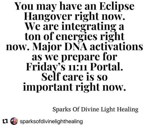 Screenshot_2022-11-11-02-49-40-67_1c337646f29875672b5a61192b9010f9