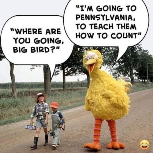 FB_IMG_1668224548796