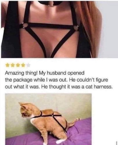 FB_IMG_1668880083729
