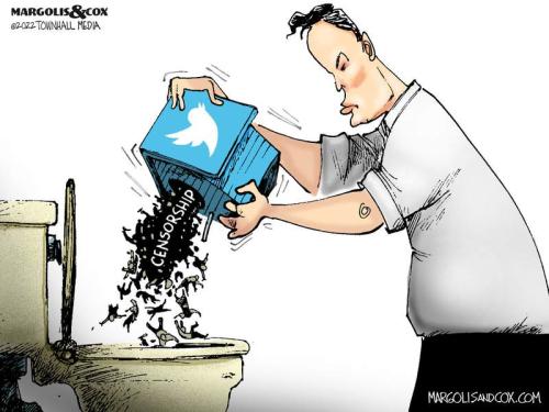 mc_birdhouse_web-800x0