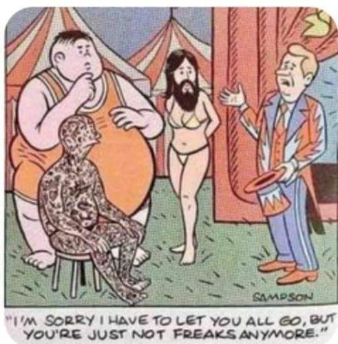 FB_IMG_1668366671268