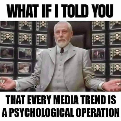 90mimb_0e4d326a1eafc9171059cd5201840c92_e65ec7d2_500