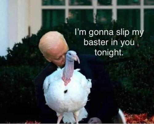 FB_IMG_1669391229700