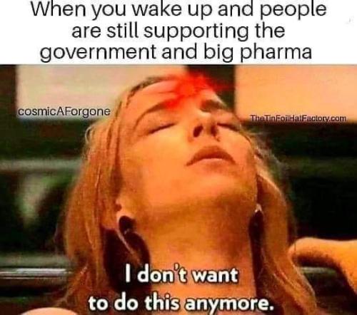 FB_IMG_1669652244496