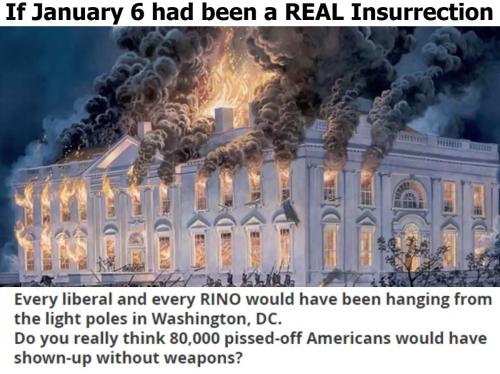 If January 6 had been a real insurrection