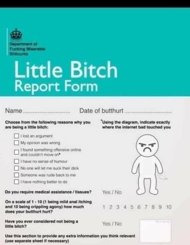 Little Bitch Report Form 1