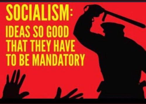 photo_2022-11-26_16-25-40