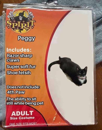 0822a20f-8bf5-4db6-928b-e9515b755577