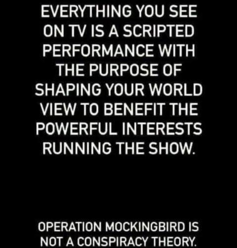 FB_IMG_1668619233095