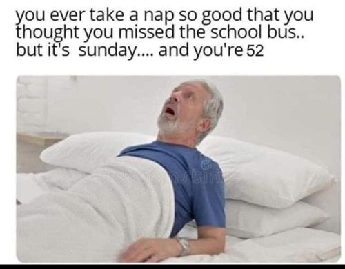 316129223_603762791547750_4847719392191062987_n