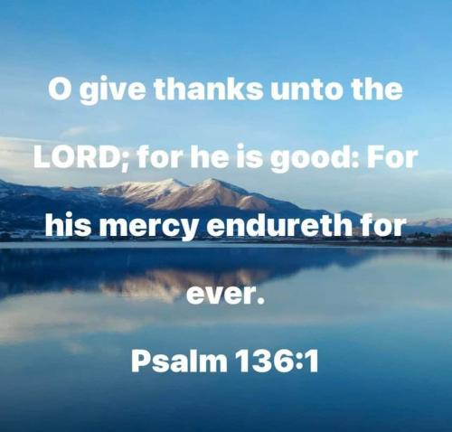 FB_IMG_1669641556059