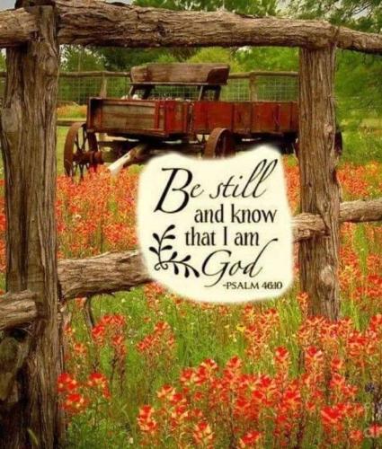 d955340b-6b5c-483c-b170-933ca8161d09