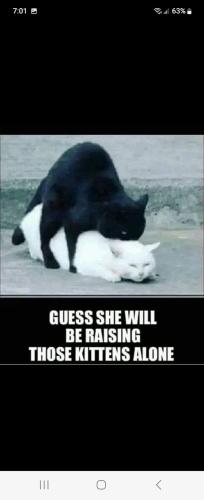 FB_IMG_1669829955946