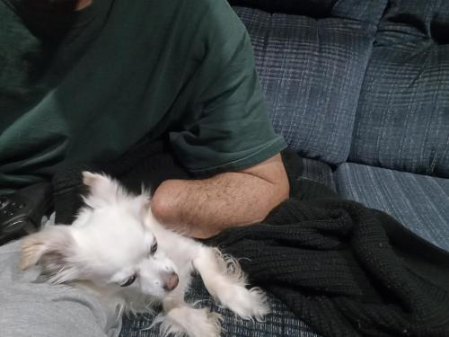 IMG_20221106_191801_162