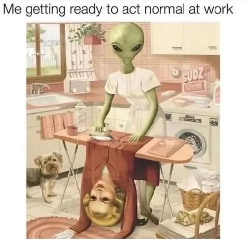 Screenshot_2022-11-09-20-25-35-58_1c337646f29875672b5a61192b9010f9