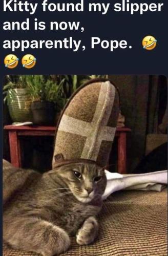 FB_IMG_1669830954862