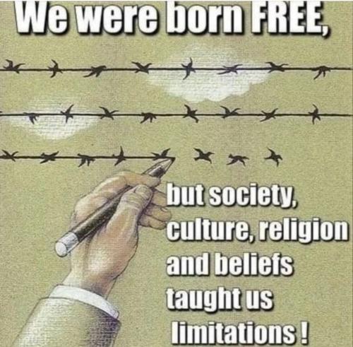 Screenshot_2022-11-11-03-13-55-86_1c337646f29875672b5a61192b9010f9