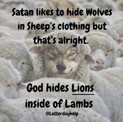 IMG_20221101_172627_496