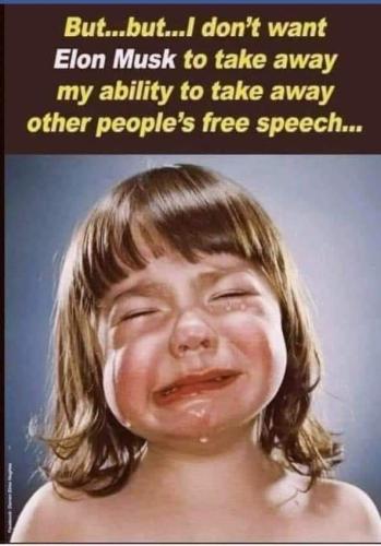 FB_IMG_1668180641335