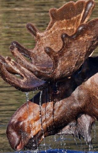 tumblr_6b183afaf65b623e0c4f75fc5f55d58c_27591f3f_640