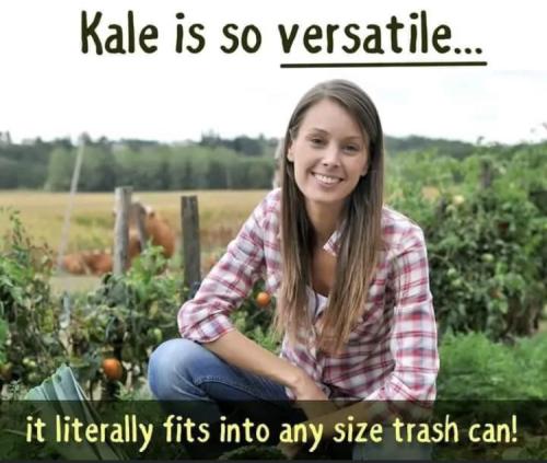 805D16E9-E744-4A18-ACE6-0D10BE26BA9D