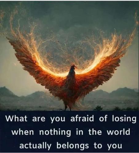 Screenshot_2022-11-11-03-19-24-33_1c337646f29875672b5a61192b9010f9