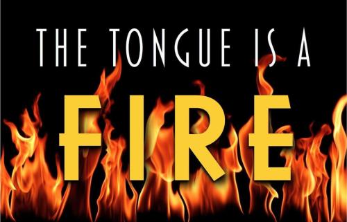 FB_IMG_1669557724381