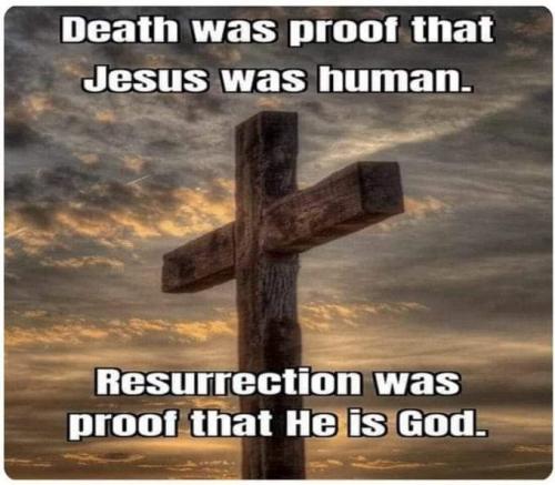 FB_IMG_1667412046699