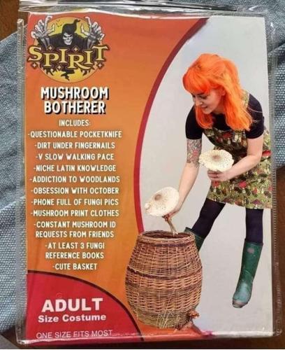 2b5f4060-642f-4059-84db-43f7952529a1