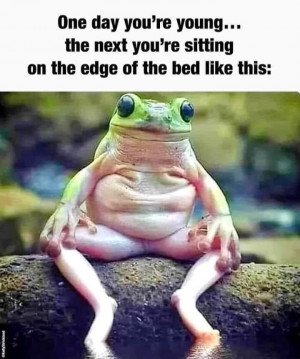 sih4bzjmqtgu2cfn2pgatjanxrqcl7pr