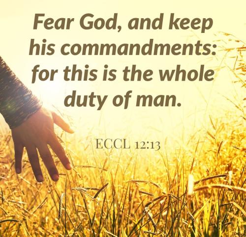 08:14:55 GMT-0400 (EDT)