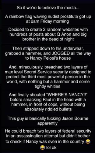paul pelosi18