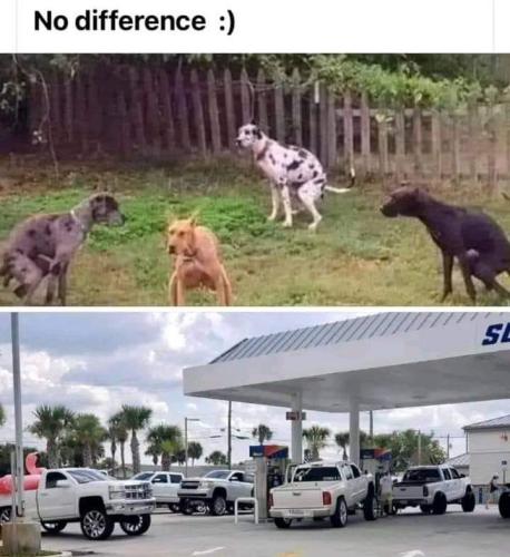 FB_IMG_1668192384419
