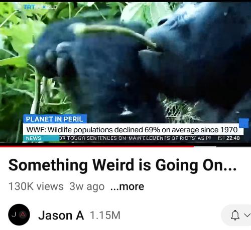 12:00:07 GMT-0500 (EST)