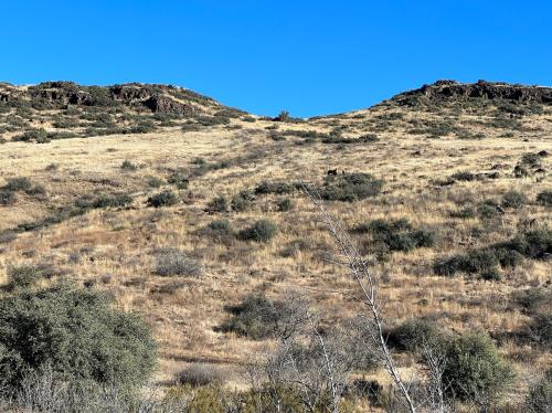 1973BE65-8482-4E0C-832F-D324307F82EB