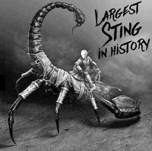 FB_IMG_1668223978544