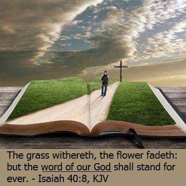 FB_IMG_1668964819999