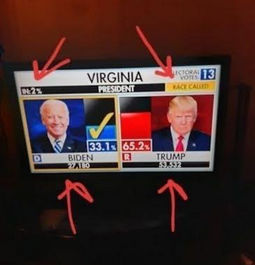 virginia00