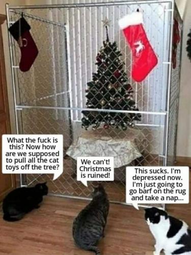 315708023_143821675066438_342214608827795485_n