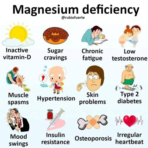 IMG_20221113_181024_703