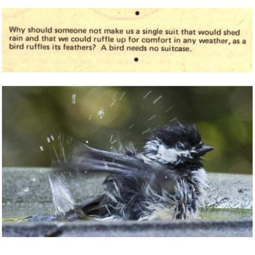 Collage Maker-31-Oct-2022-11.35-PM